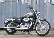 Harley-Davidson XL 883C Sportster 833 Custom